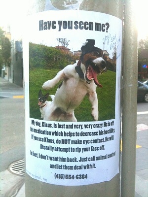 lost dog poster