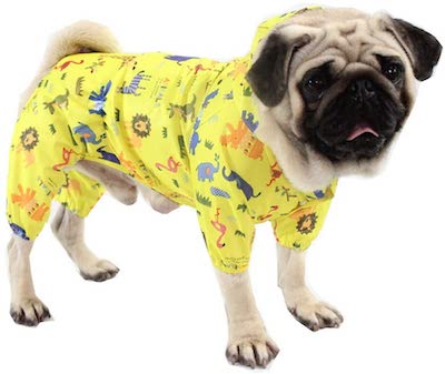 BbearT Pug Raincoat