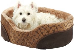 Best Waterproof Dog Bed Covers in the UK (2023 UPDATED)