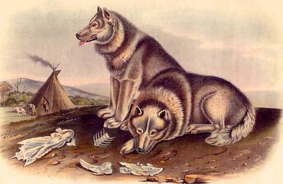 Early Domesticated Dogs