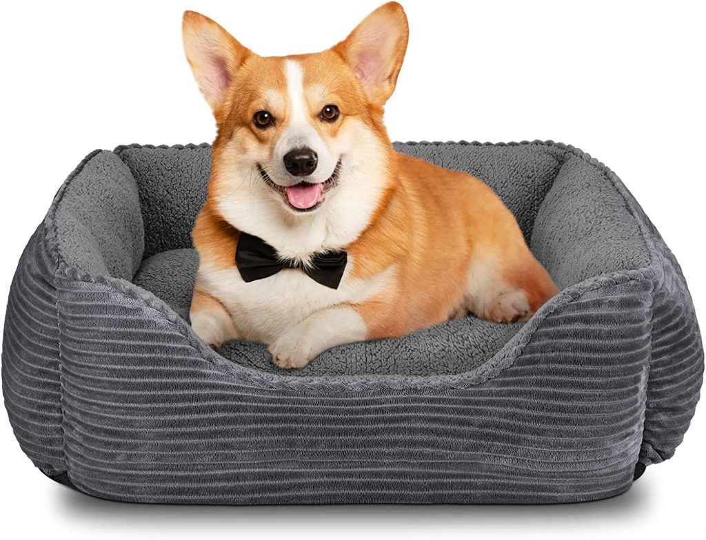 best dog bed for pomeranians