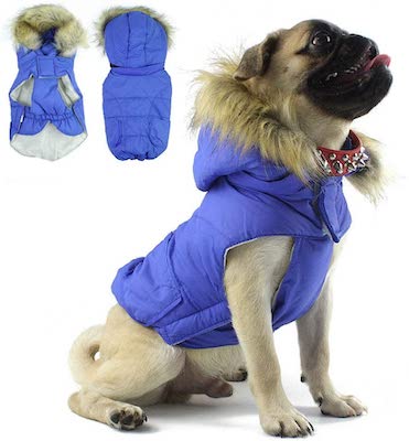 Morezi Pug Snowsuit