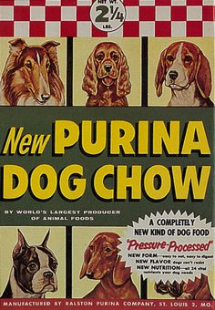 Purina Dog Chow