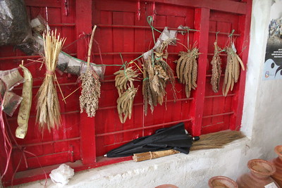 Wheat and Millet