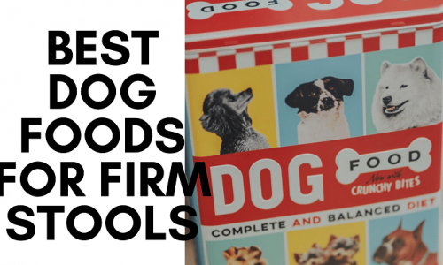 best dog foods for firm stools