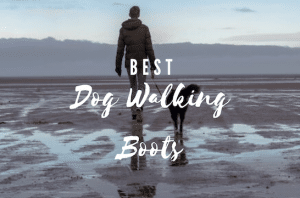 Best Waterproof Dog Walking Boots for UK Dog-Parents
