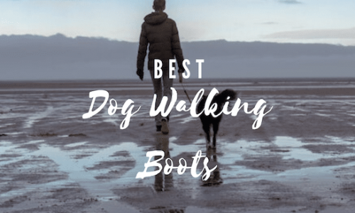 best dog walking boots