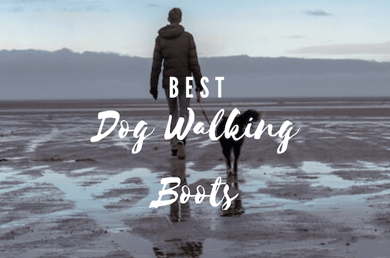 best dog walking boots