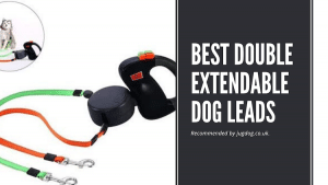 Best Double Extendable Dog Leads