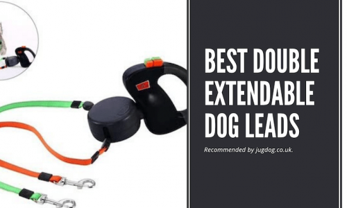 best double extendable dog leads