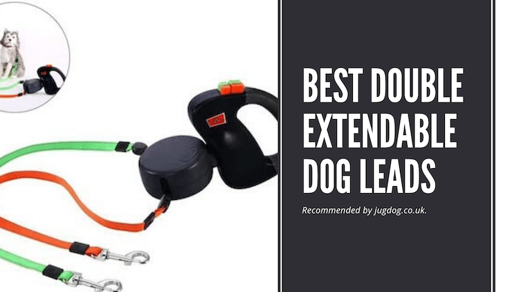 Best Double Extendable Dog Leads cover