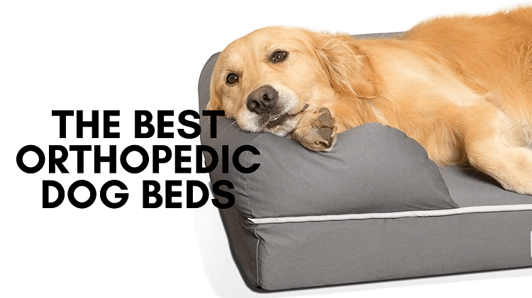 Orthopedic dog sales mattress uk