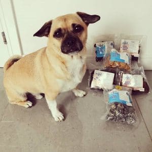 How do I make a treating dispenser for my dog?