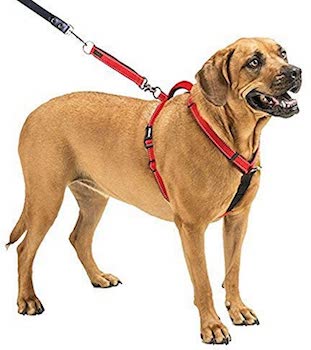 SPORN non pull Dog Harness