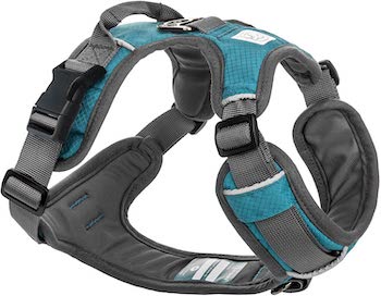 Embark Active Dog Harness