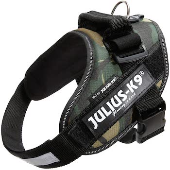 Julius K9 Harness