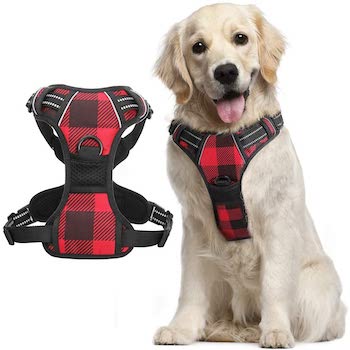 Rabbitgoo Harness