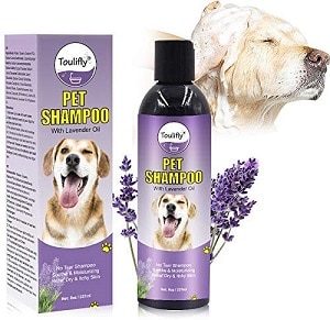 Toulifly Lavender Pet Shampoo