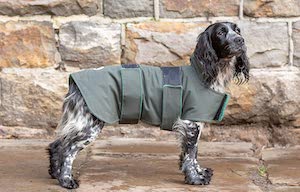 Dog & Field 2 in 1 Waterproof Dog Winter Coat