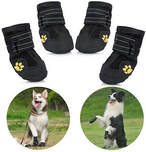 dog winter boots