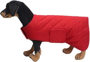 Geyecete Martin Thermal Dog Winter Coat