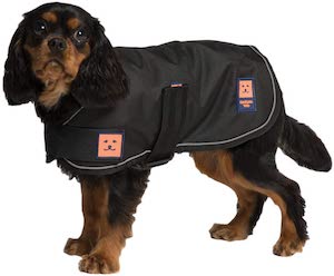 Ginger Ted ShowerLightweight Waterproof Coat