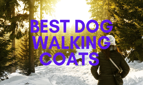 best dog walking coats