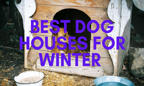 best dog houses for winter