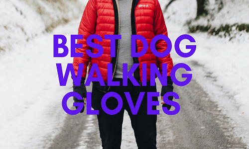 best dog walking gloves