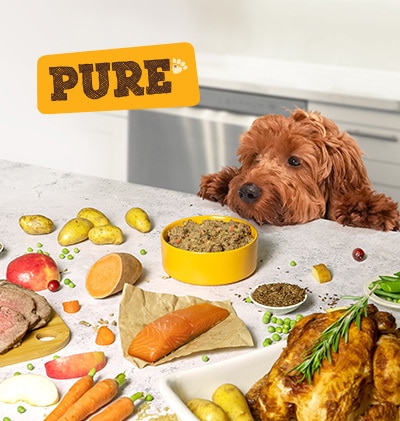 dog food PURE