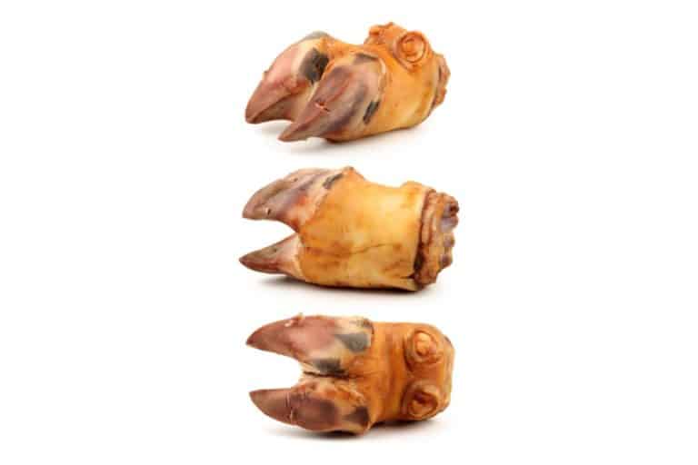 Pros And Cons Of Dogs Chewing Cow Hooves