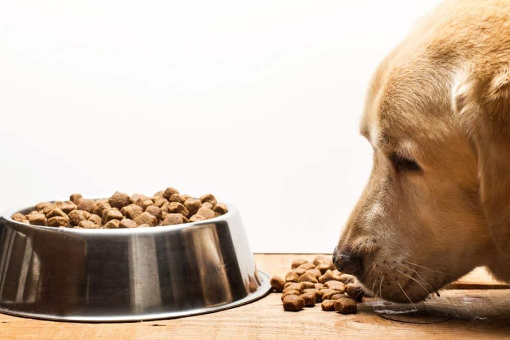 Just How Good Is Wainwright's Dog Food?