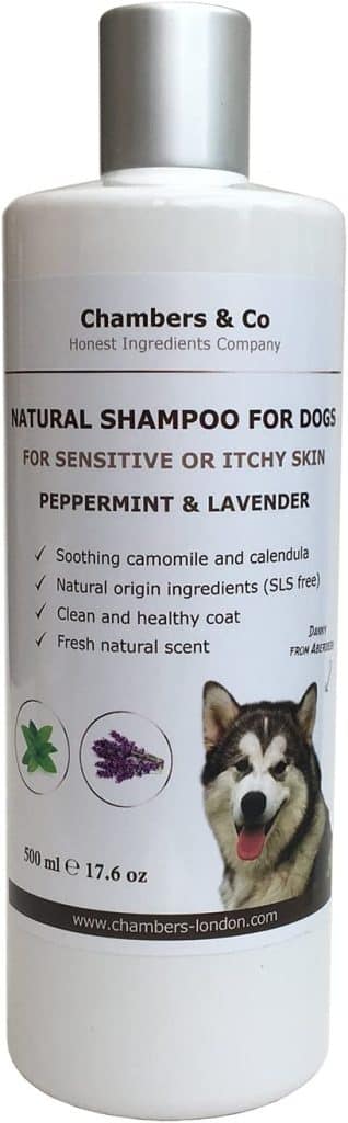 best dog shampoo uk 2023