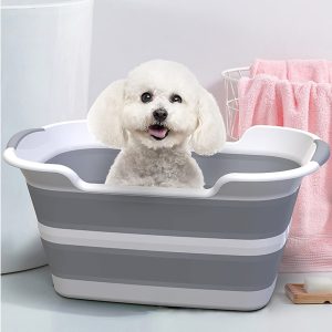No Bath? No Problem: Tips and Tricks to Keep Your Dog Clean and Fresh