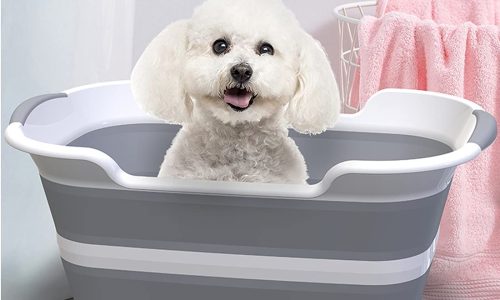 best dog bathtubs in uk