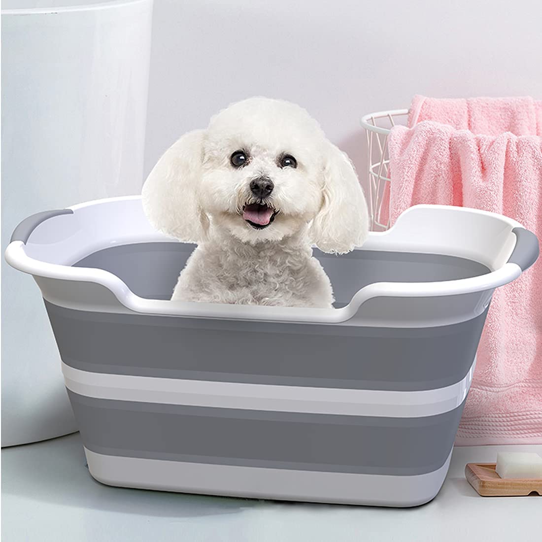 No Bath? No Problem: Tips and Tricks to Keep Your Dog Clean and Fresh cover