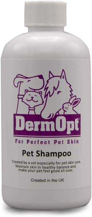 best dog shampoo uk 2023