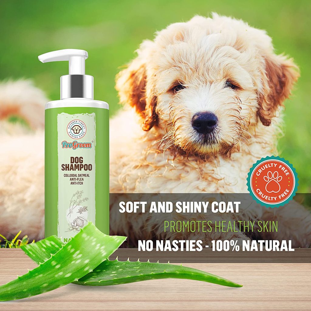 best dog shampoo uk 2023