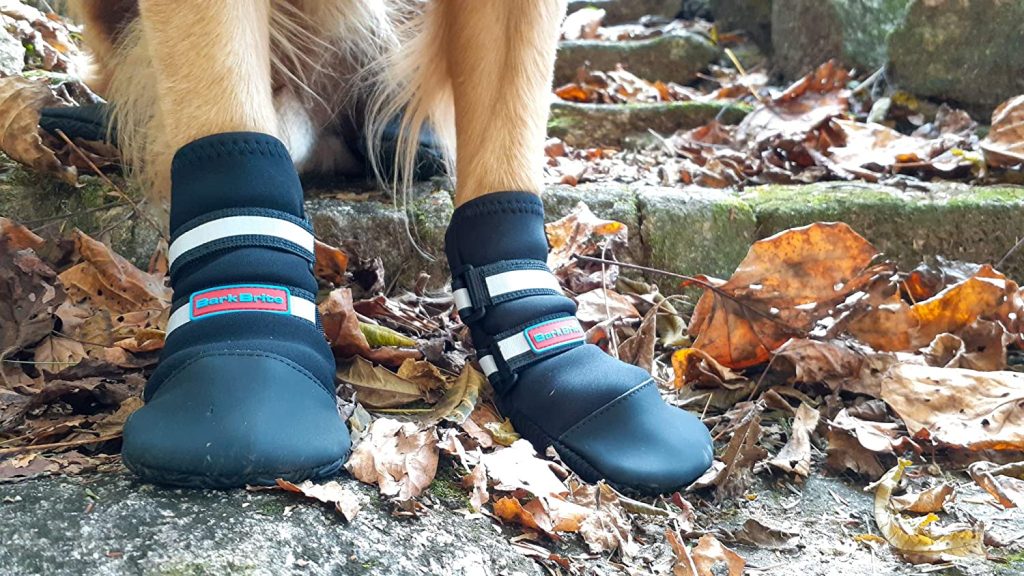 best dog booties in 2023