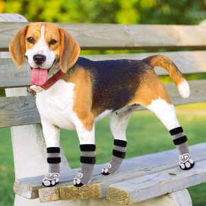 Which dog boots are the best and safest in 2023?