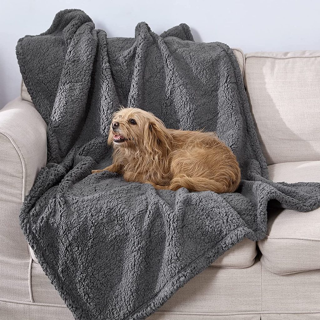 best waterproof dog bed cover 2023