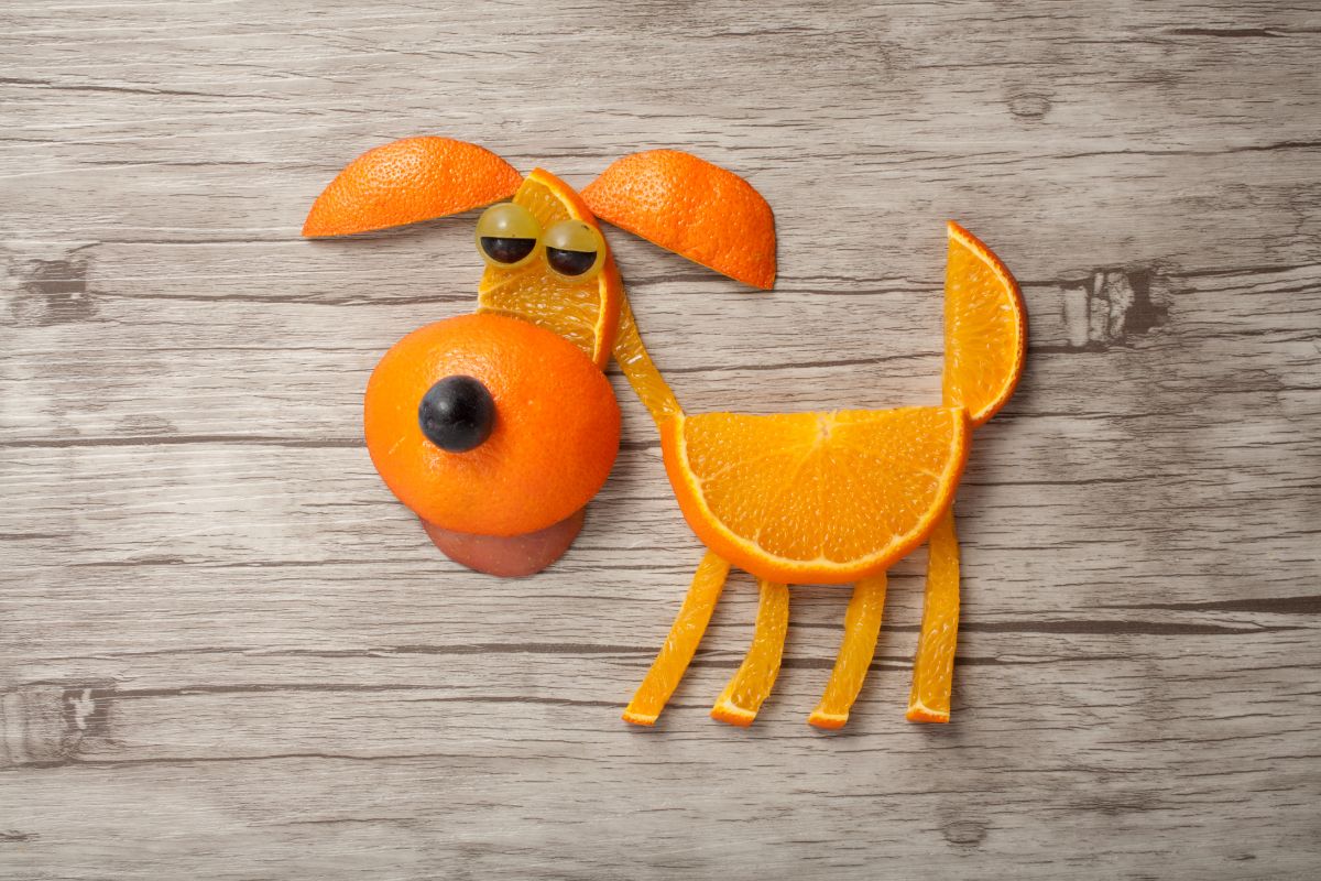 Can Dogs Eat Oranges