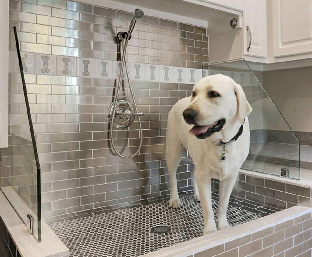 What Is A Dog Shower? Are They Worth Having In Your Home?