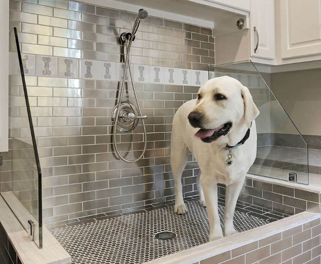 Why Every Dog Owner Should Build A Pet Shower At Home?