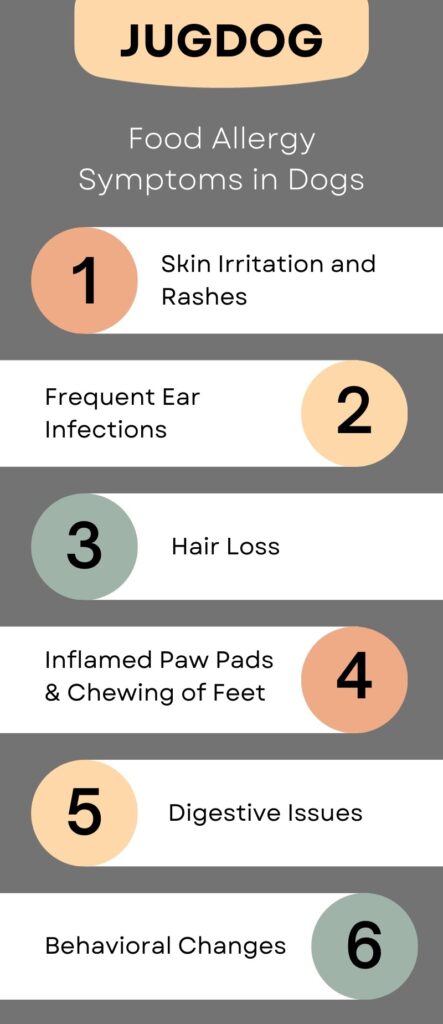 grain allergy symptoms in dogs